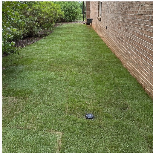 Six-stage yard drainage project, step 6