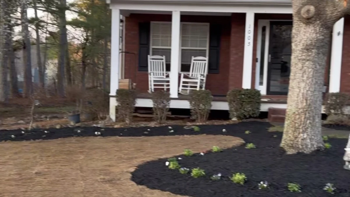 Front yard after cleanup with fresh sod, black mulch beds and new plantings